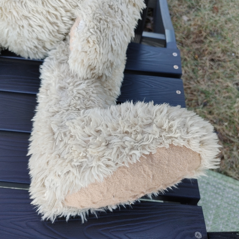 Boyd bear - Picture 4 of 5